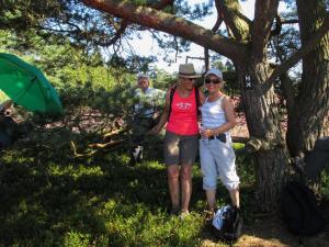 2016 Lüneburger Heide GS-103