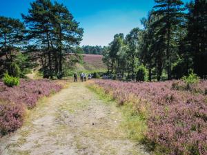 2016 Lüneburger Heide GS-81