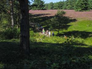 2016 Lüneburger Heide GS-96