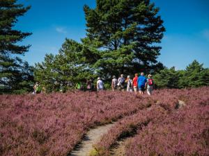 2016 Lüneburger Heide GS-97