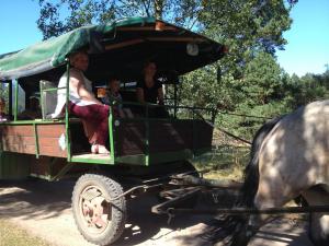 2016 Lüneburger Heide GSi-30